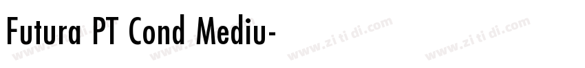 Futura PT Cond Mediu字体转换